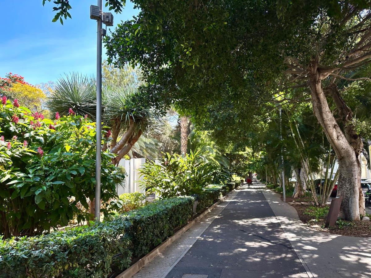 Centrico Y Moderno Junto Al Parque Lägenhet Santa Cruz de Tenerife Exteriör bild